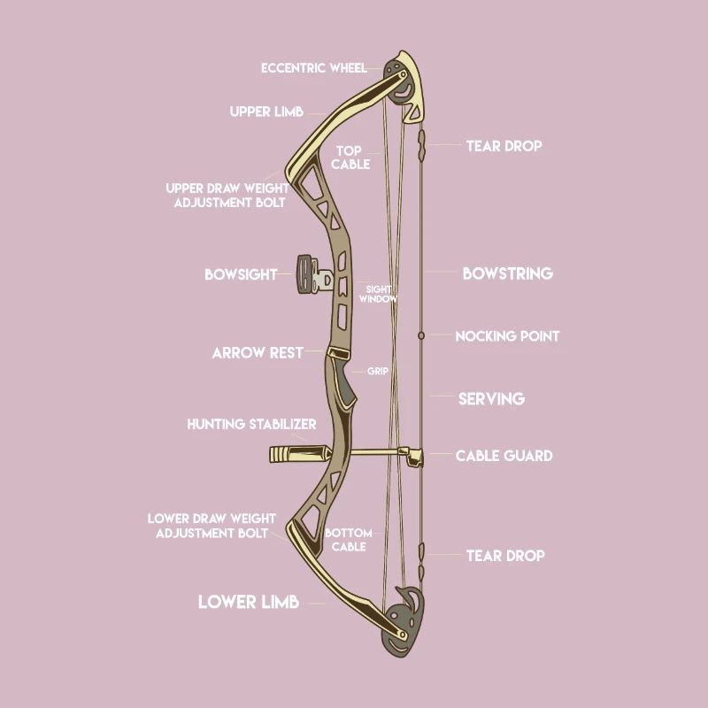 Anatomie eines Bogens | Bogensport Compound Pfeil