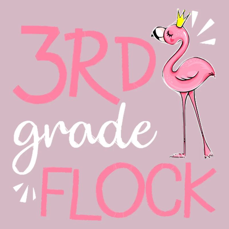 Flamingo Back To School 3rd Third Grade Flock