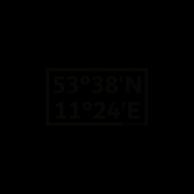 Schwerin coordinates