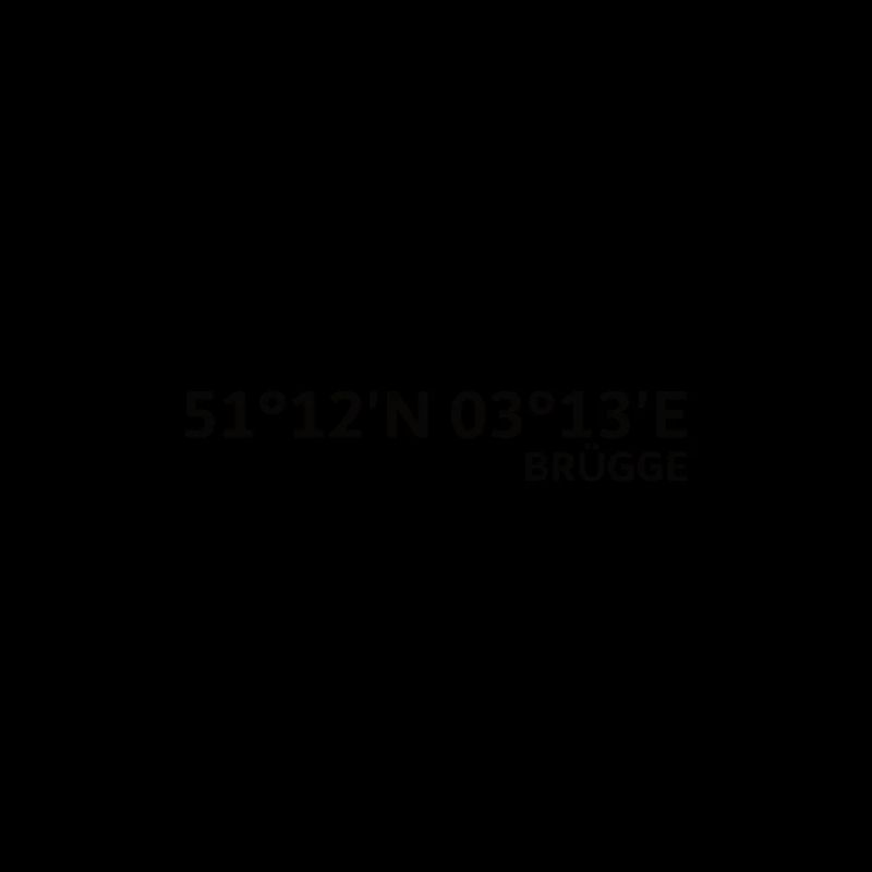 Bruges coordinates