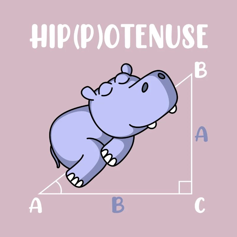 Hippotenuse fun math math