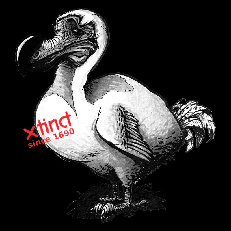 Dodo