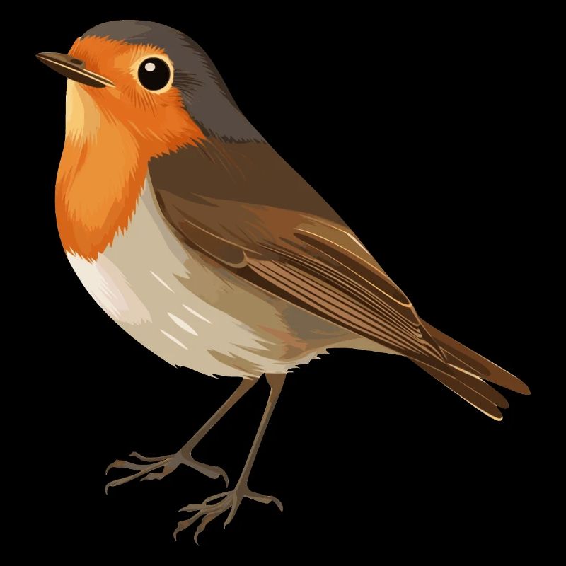 Robin