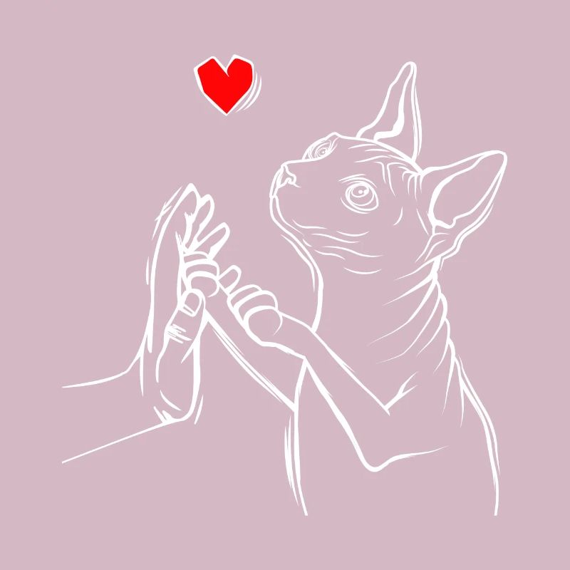 Sphynx Katze Liebe Sphinx Nacktkatze