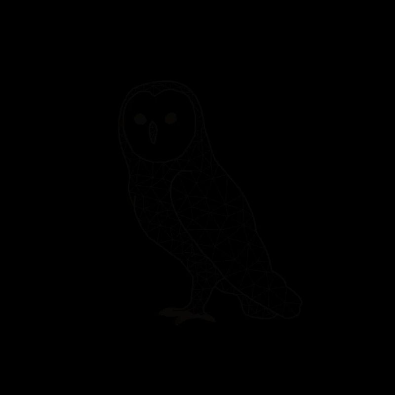 Owll GeomeTRIX