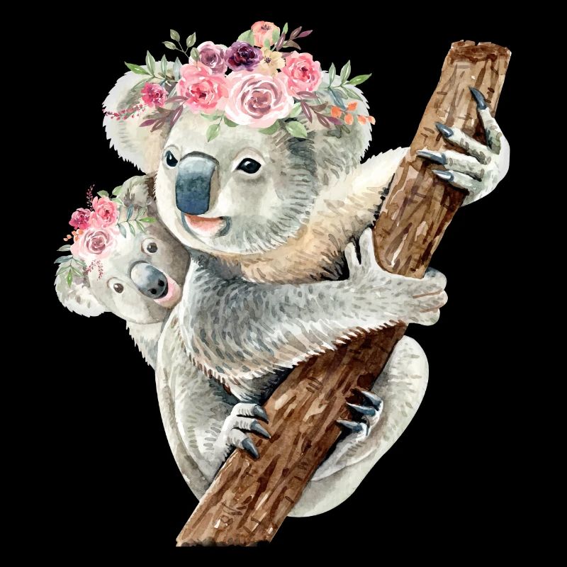 Bébé Koala