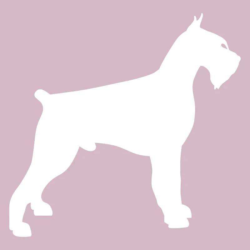 schnauzer géant