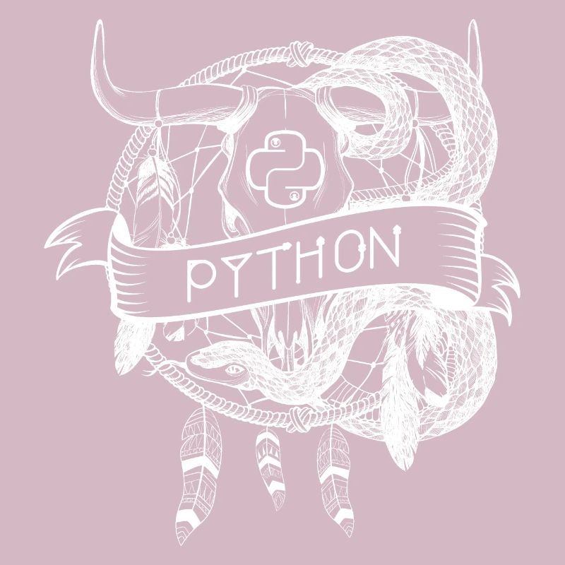 python Programmiersprache technologie