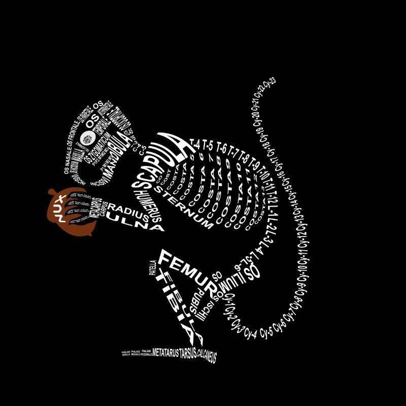 Eichhörnchen