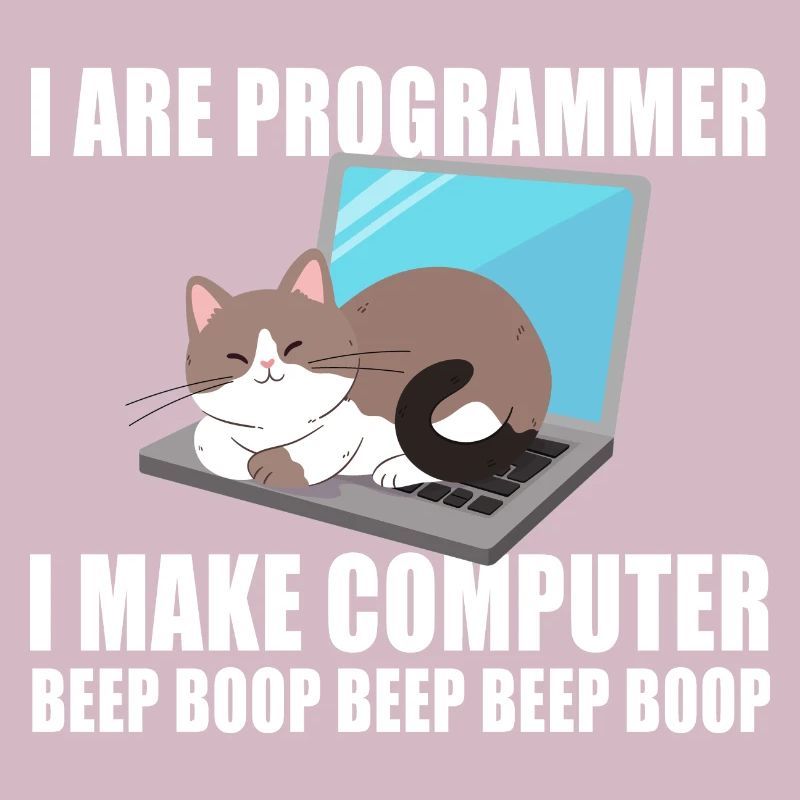 Ich bin Programmierer