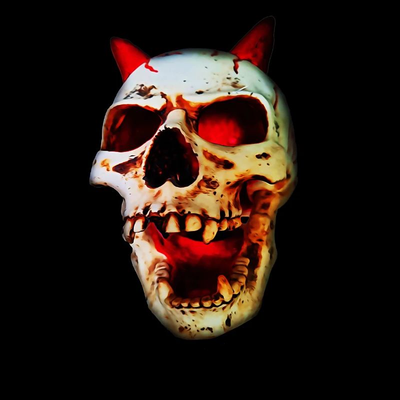 Hörnerskull