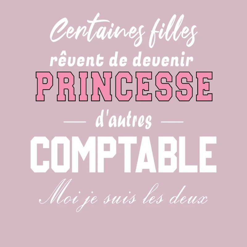 Princesse comptable