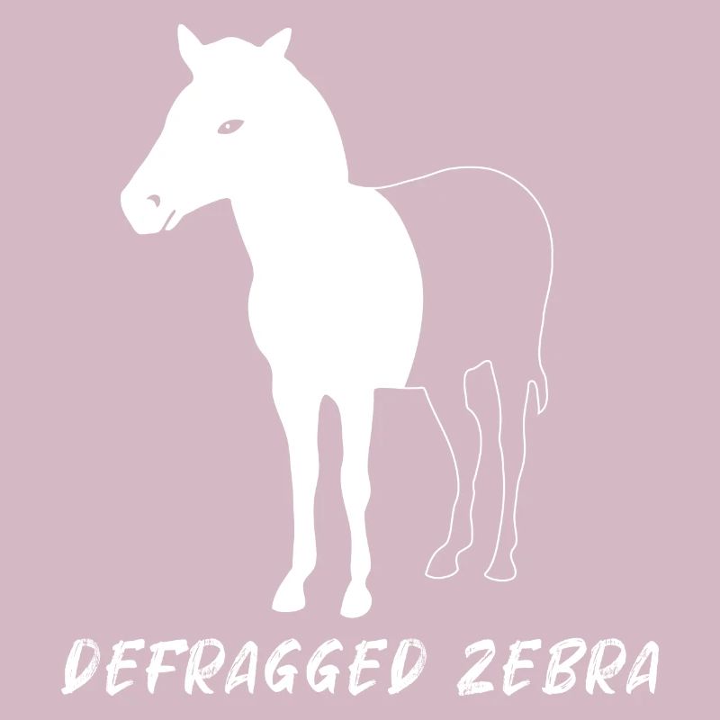 Defragged Zebra Admin Geek Programmer Gift