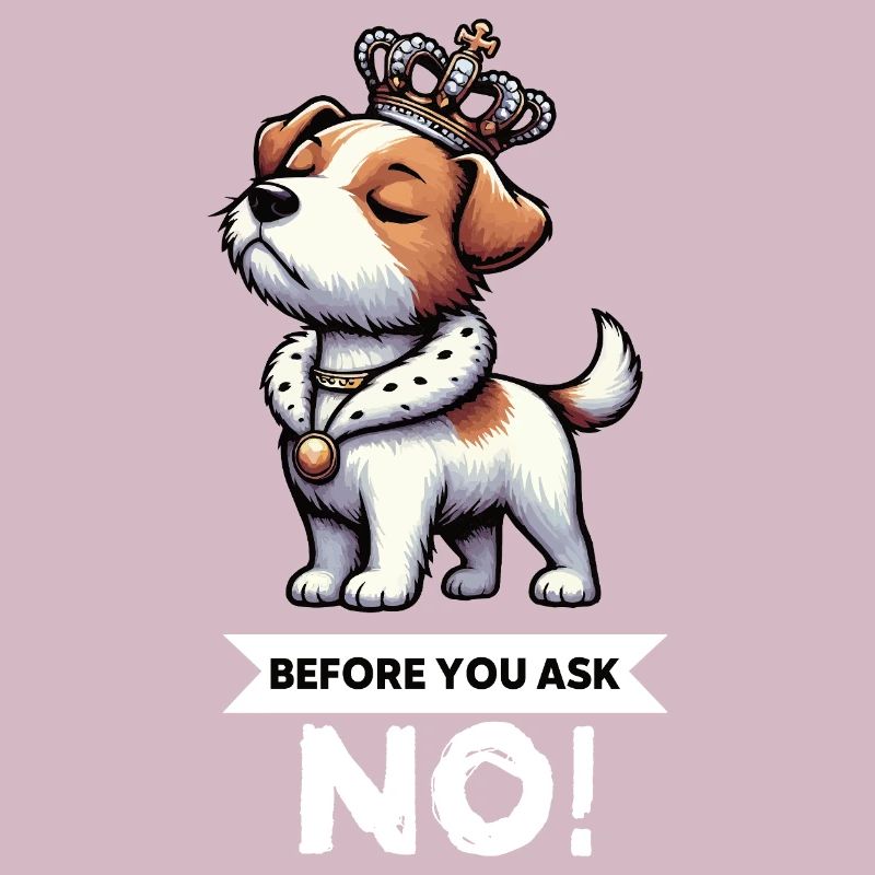 Before You Ask Jack Russel terrier Jack russel dog