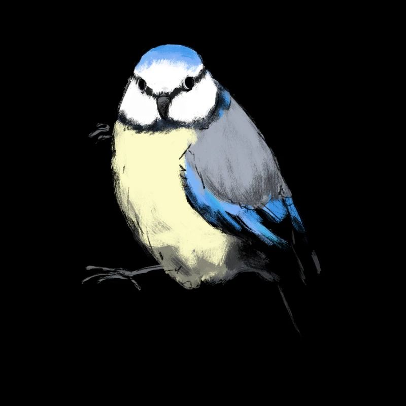 Mésange bleue
