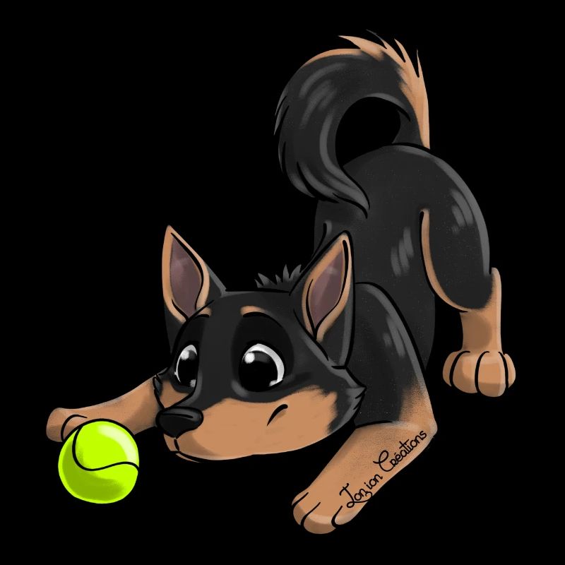 Le plus mignon Kelpie