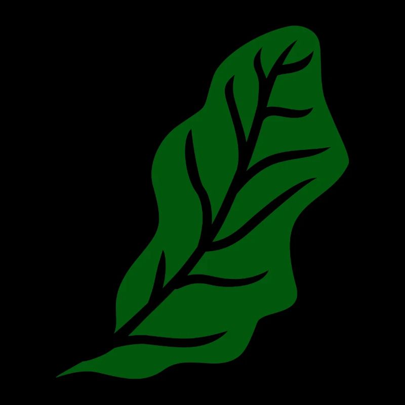 Lettuce