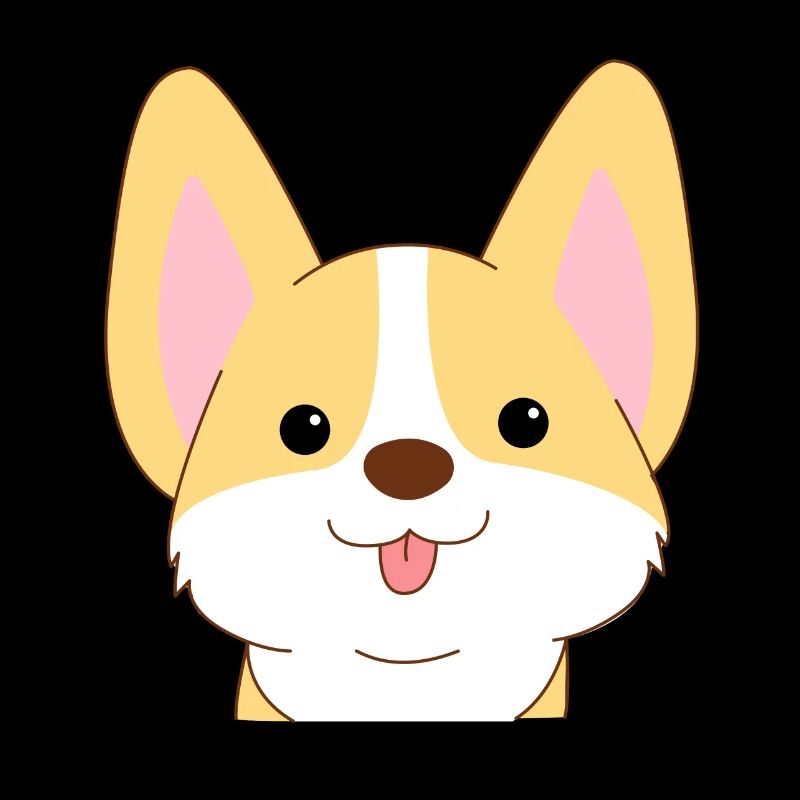 corgi doux