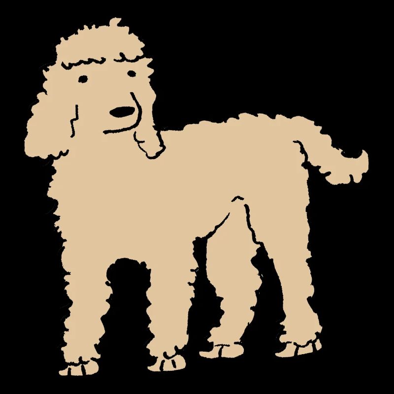 Pudel