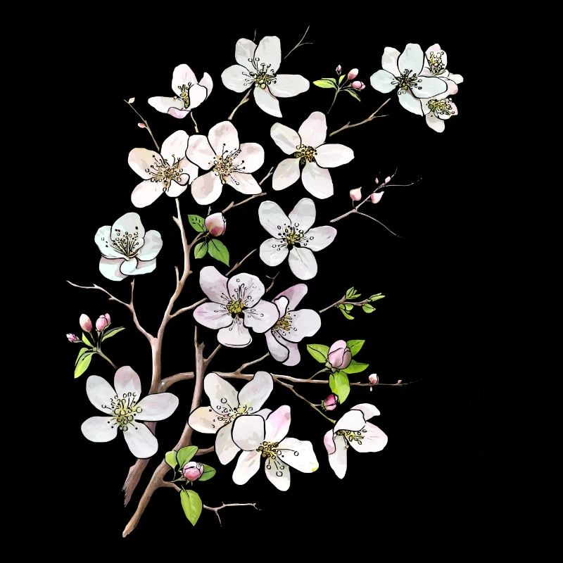 Fleurs de pommier