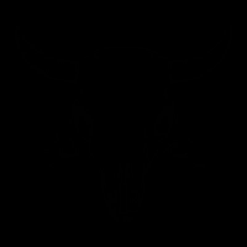 Crâne de vache Boho