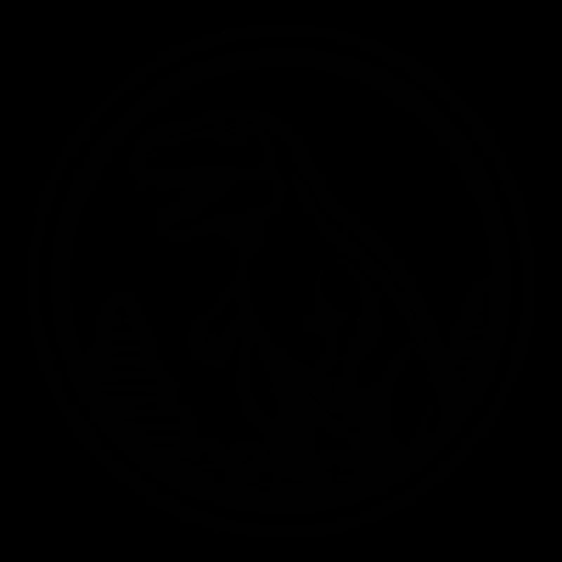 Dino Dinosaur Dinosaurs Paleontology