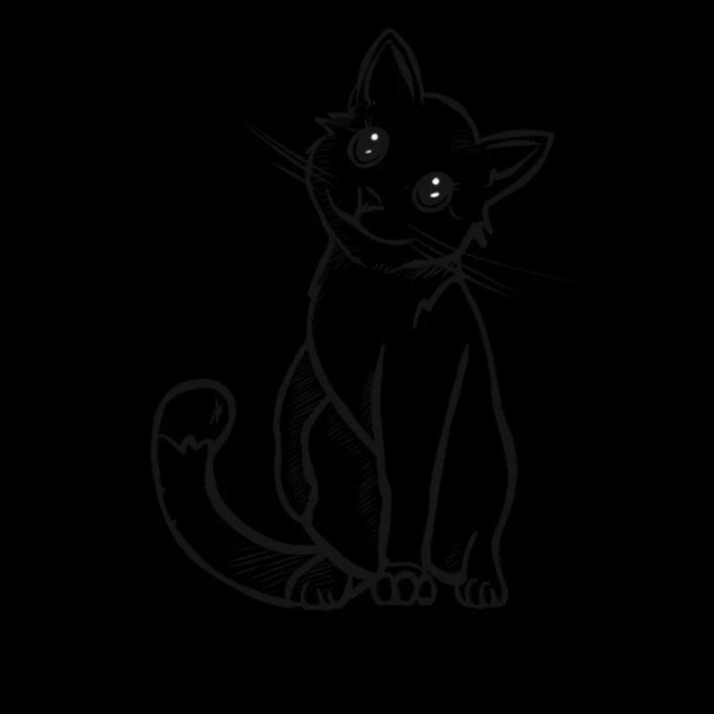 chat mignon