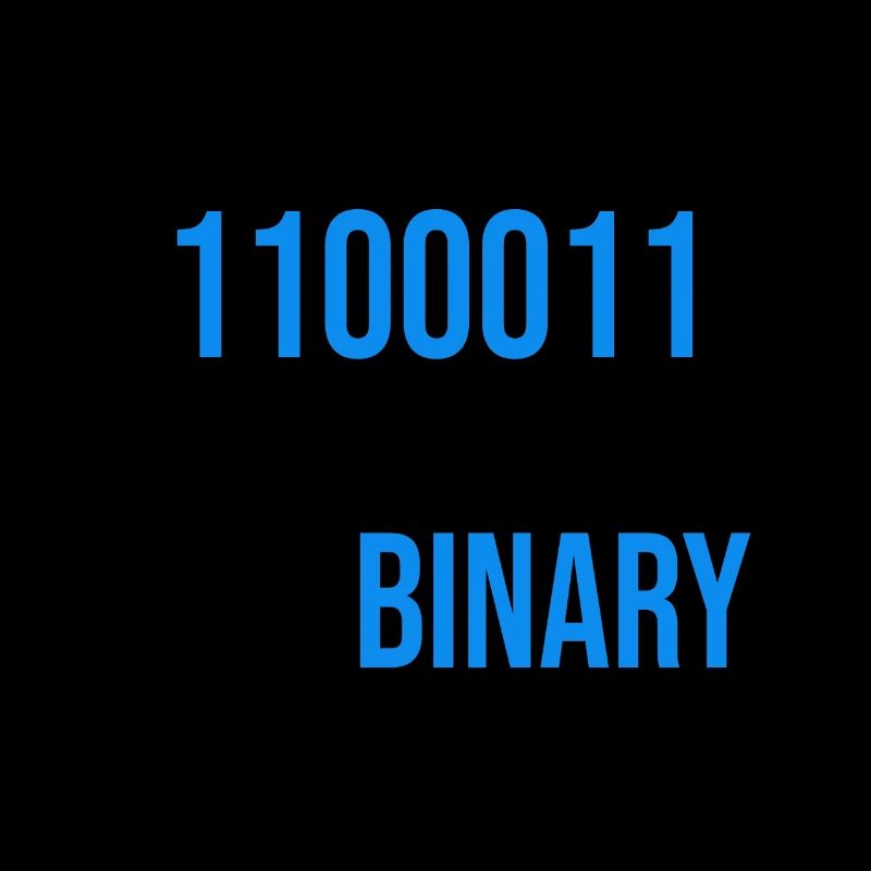 I got 99 problems but binary ain't one
