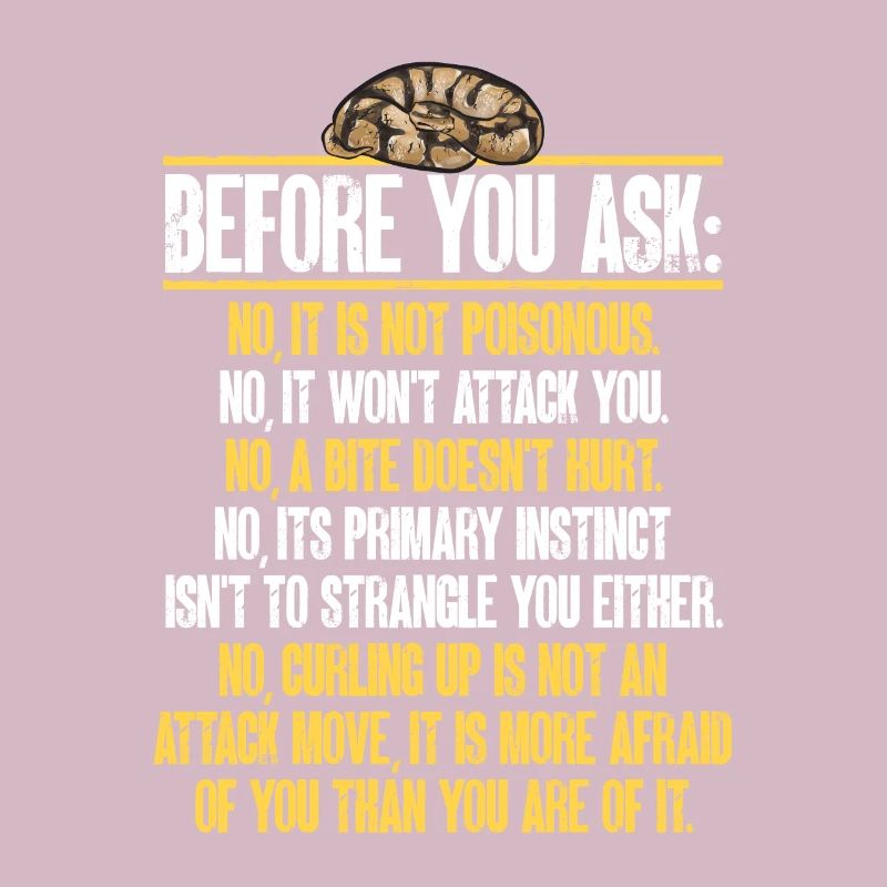 Ball Python Schlange Königspython