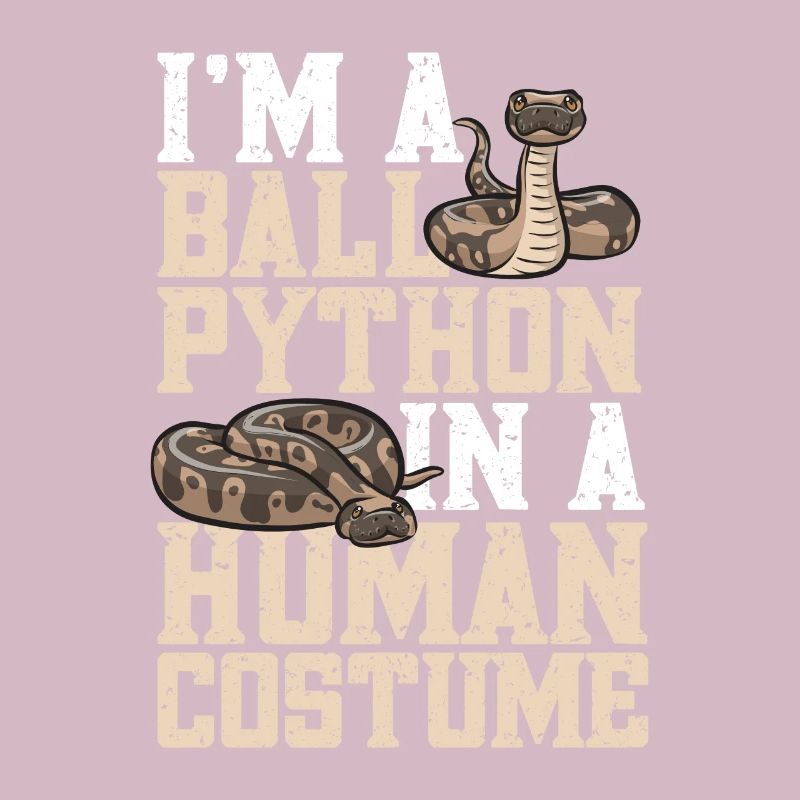 Ball Python Snake King Python