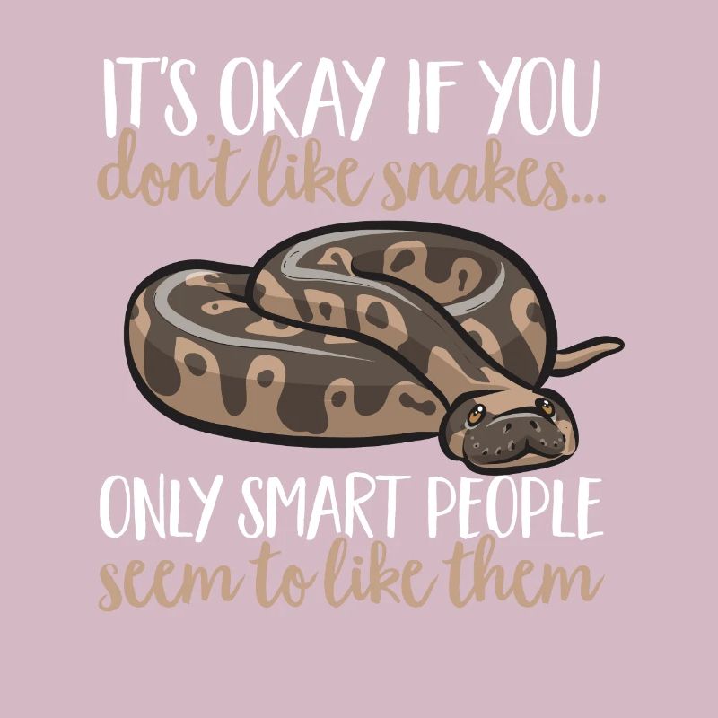 Ball Python Schlange Königspython