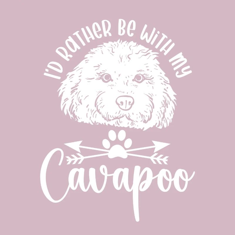 Cavapoo Cavoodle Capoodle Hund