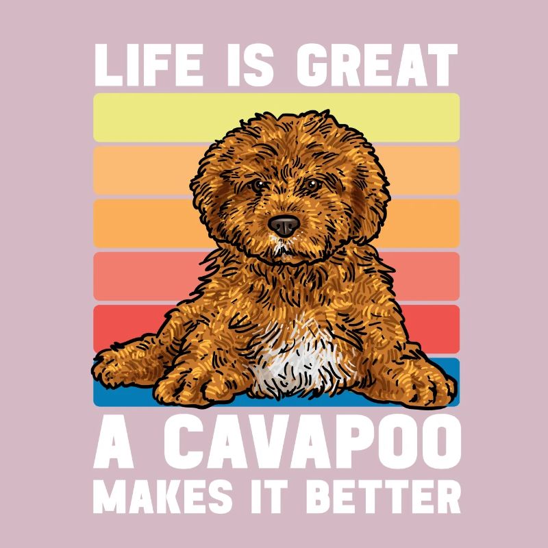 Cavapoo Cavoodle Capoodle Hund