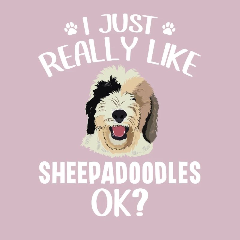 Sheepadoodle Doodle Hund