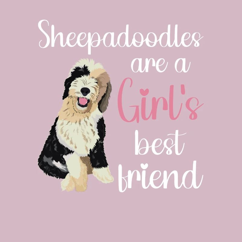 Sheepadoodle Doodle Hund