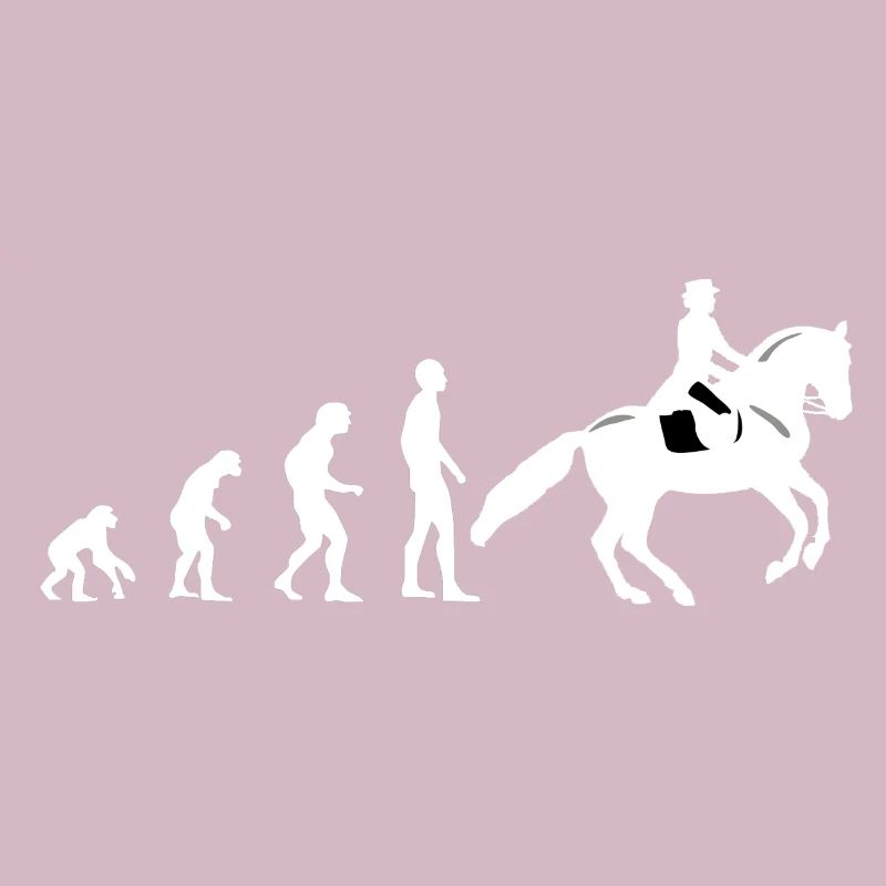 Evolution équitation - cheval - cavalier - cavalier