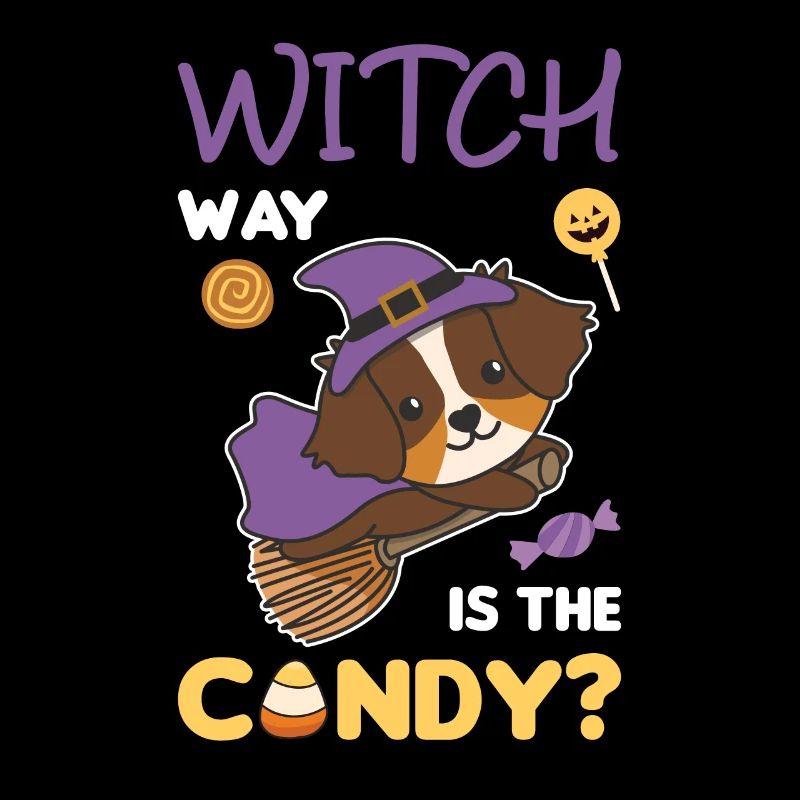 Australian Shepherd Hexen Witch way is the candy