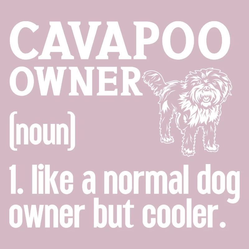 Cavapoo Cavoodle Capoodle Hund