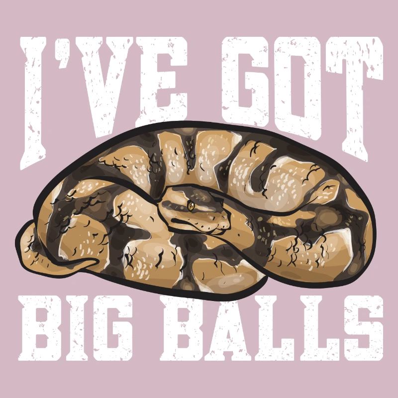 Ball Python Snake King Python