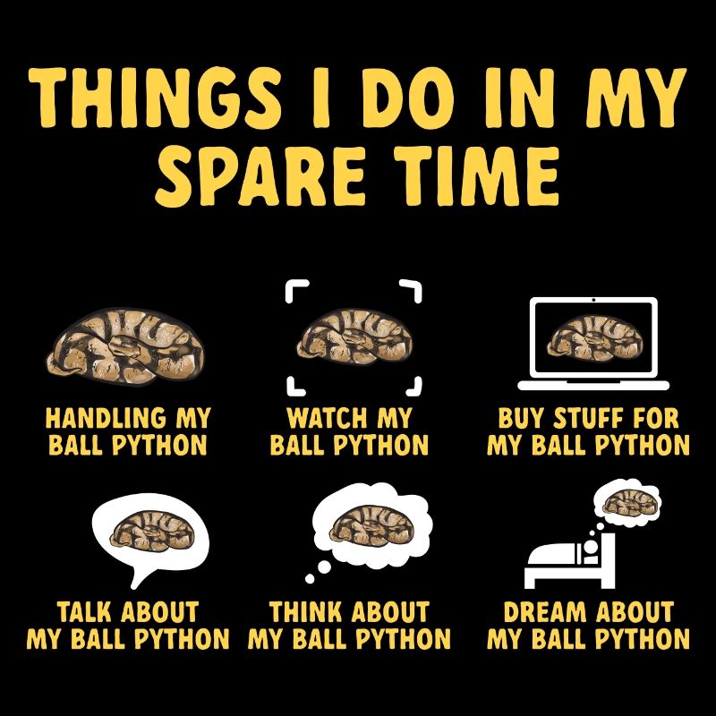 Ball Python Snake King Python