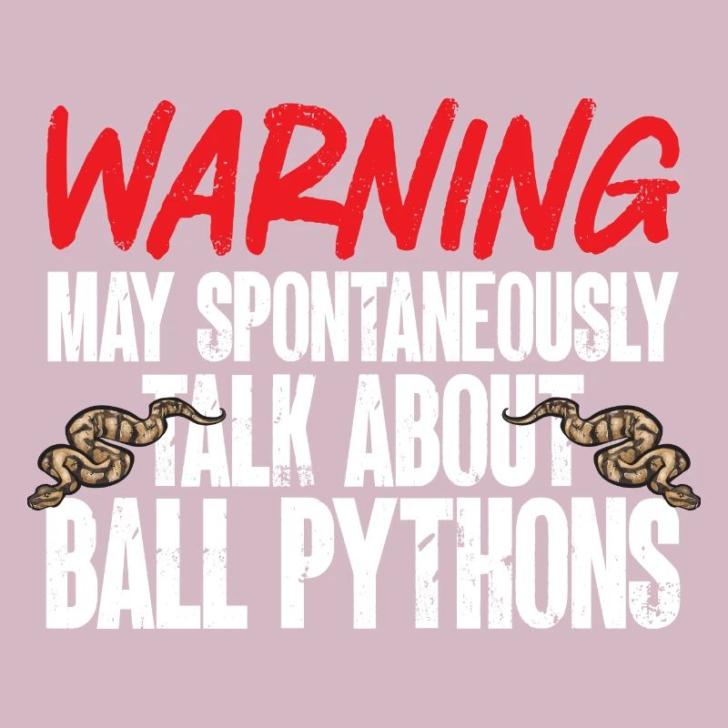 Ball Python Schlange Königspython