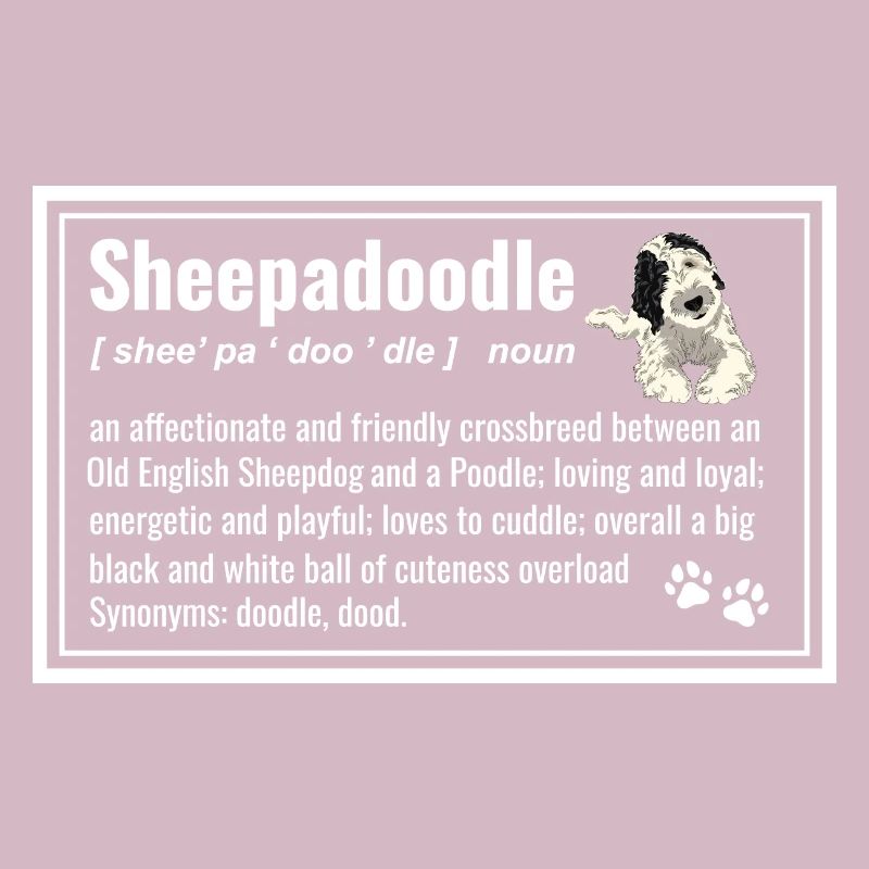 Sheepadoodle Doodle Hund