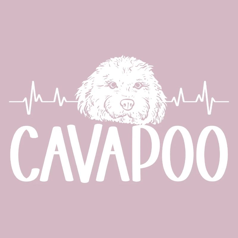 Cavapoo Cavoodle Capoodle Chien