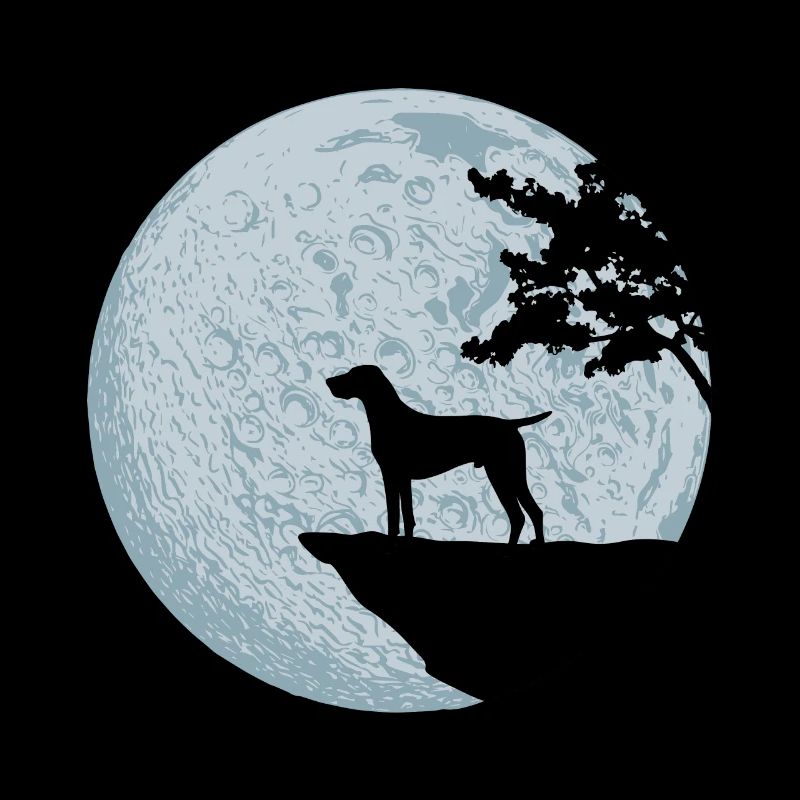 German shorthaired pointer