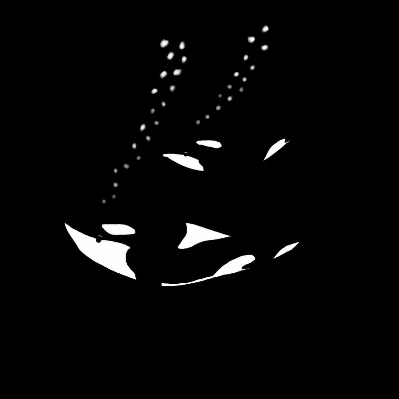 Orca Mutter mit Kind