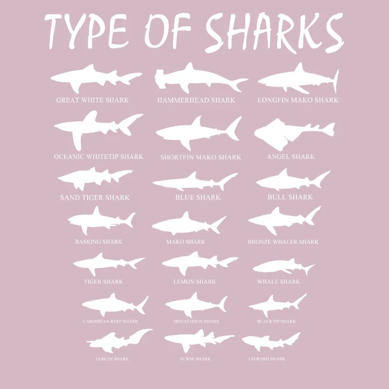types de requins