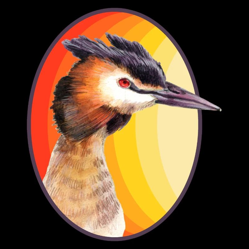 Great crested grebe