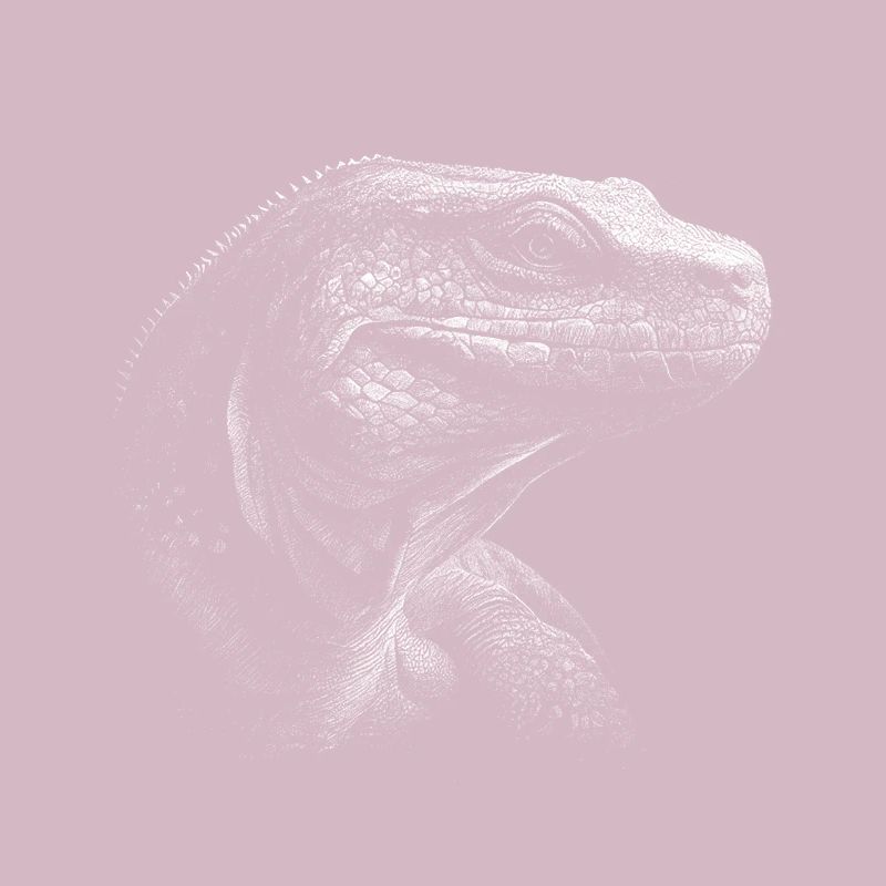 Komodo Dragon Varan Lizard
