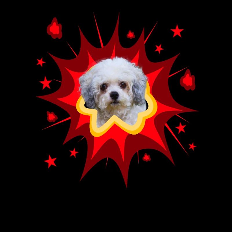Conception de chien comique - Pow - Bolonka
