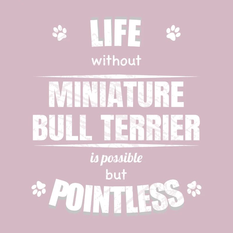 Life possible pointless - Miniature Bull Terrier